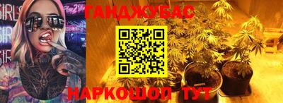 индика Новодвинск