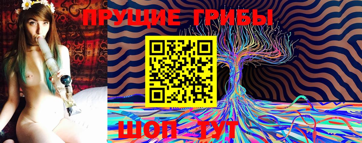 Гатчина  Псилоцибиновые грибы мухоморы  Вход с VPN 